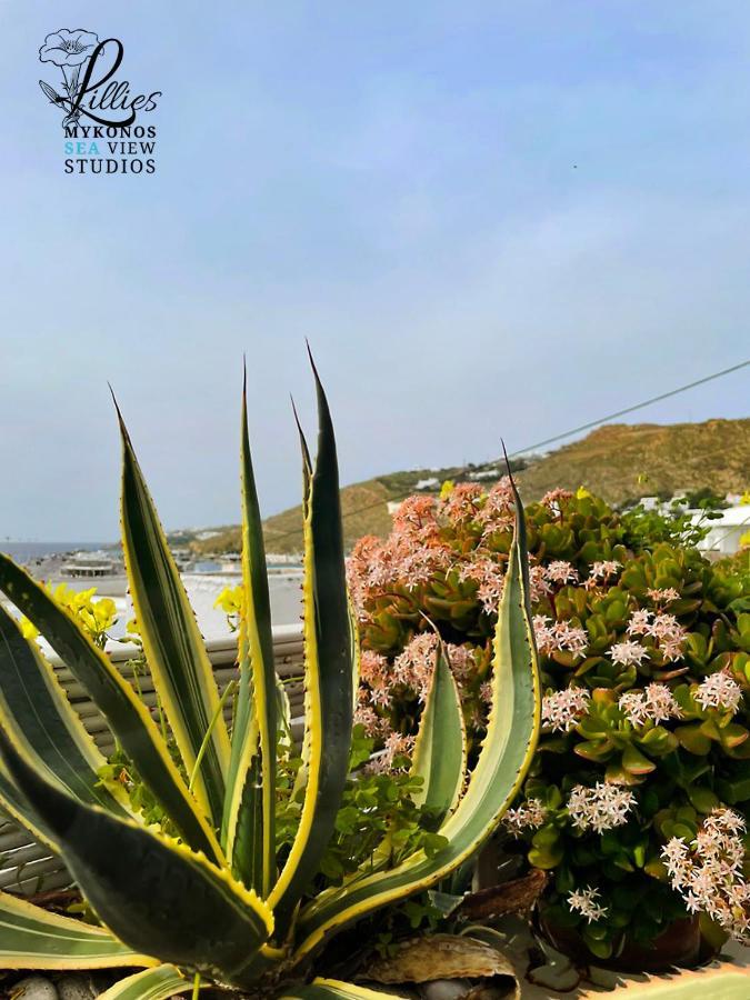 Lillies Mykonos Sea View Studios Tourlos Exterior photo